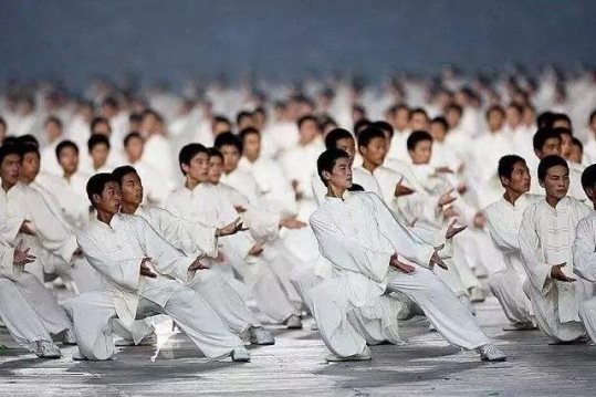 武术14